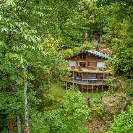 Grand Ole Chalet - Mt Viewsfireplacefirepitarcade Gatlinburg Exteriér fotografie